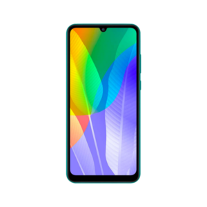 Y6p