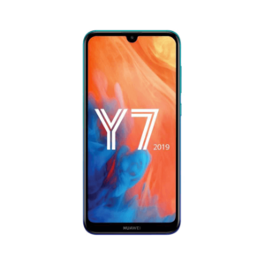 Y7 2019