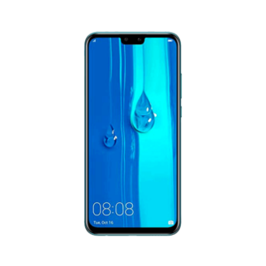 Y9 2019